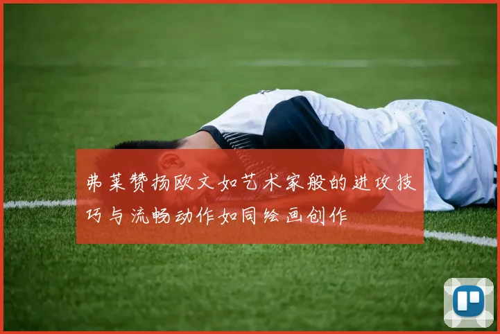 弗莱赞扬欧文如艺术家般的进攻技巧与流畅动作如同绘画创作